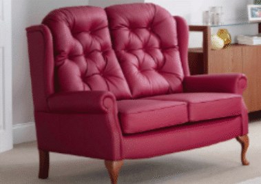 Celebrity Furniture LEATHER Upholstery Types