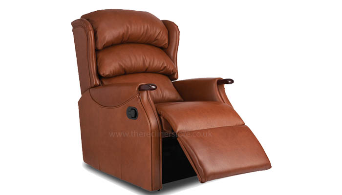 Standard Recliner Chair