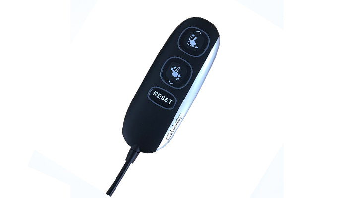 Celebrity Remote Hand Controls 