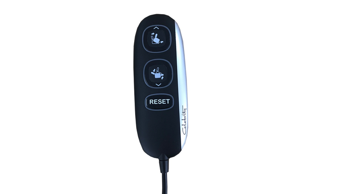 Celebrity Remote Hand Controls 