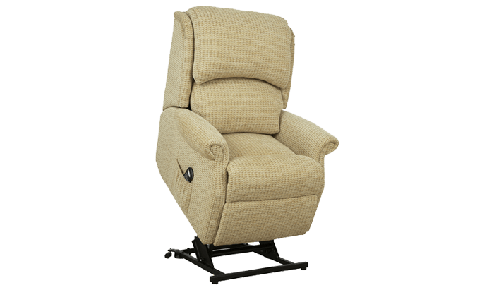 Petite Riser Recliner Chair